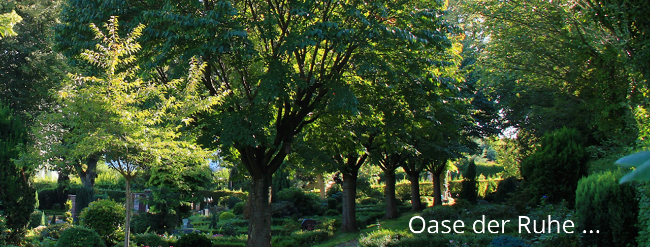 Friedhof Bittermark in Dortmund